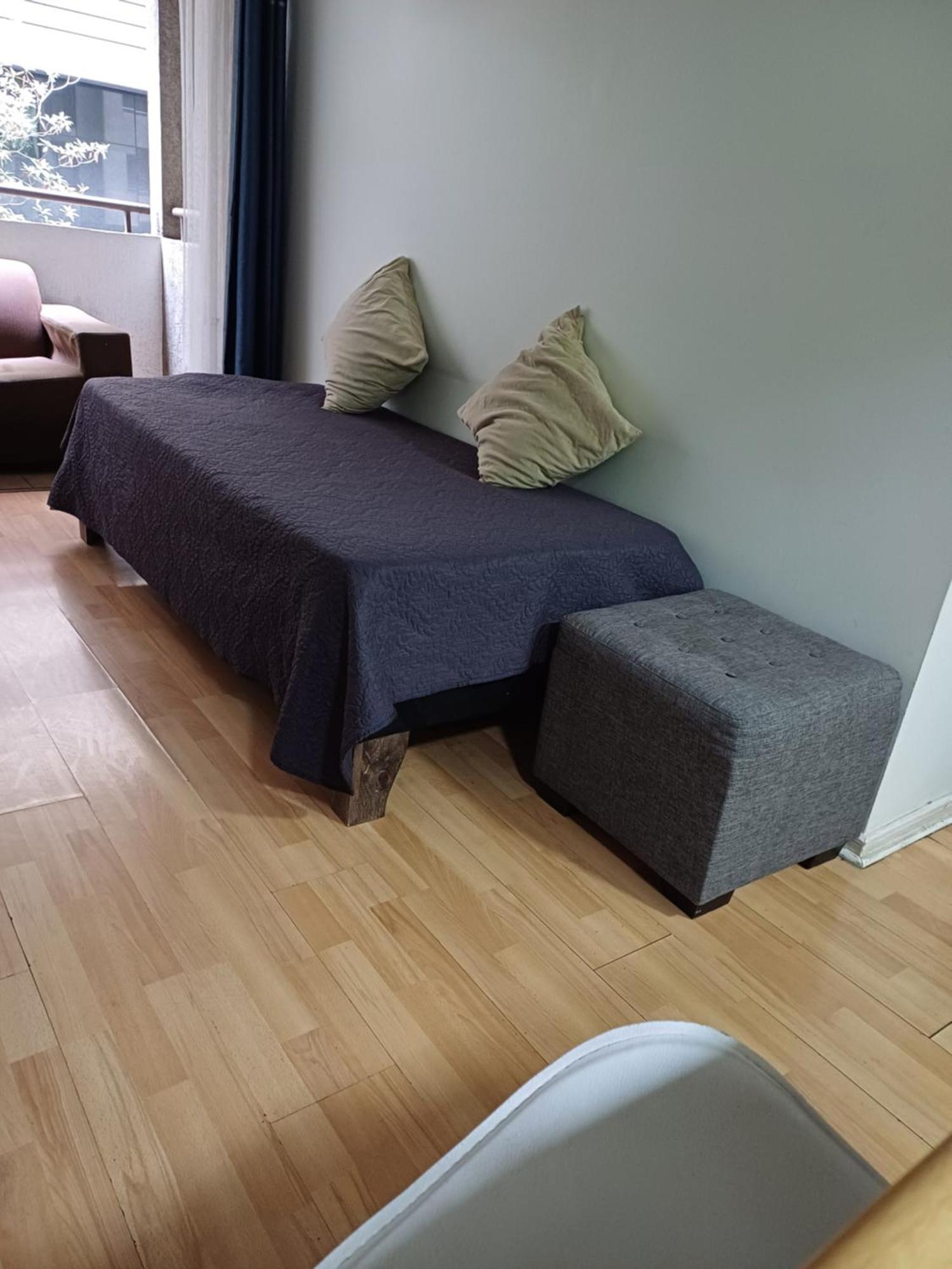 Apartamento Muy Santiago